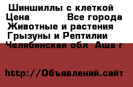 Шиншиллы с клеткой › Цена ­ 8 000 - Все города Животные и растения » Грызуны и Рептилии   . Челябинская обл.,Аша г.